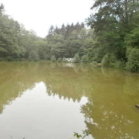 Gite Le Sous-Bois Cerfontaine Exterior photo