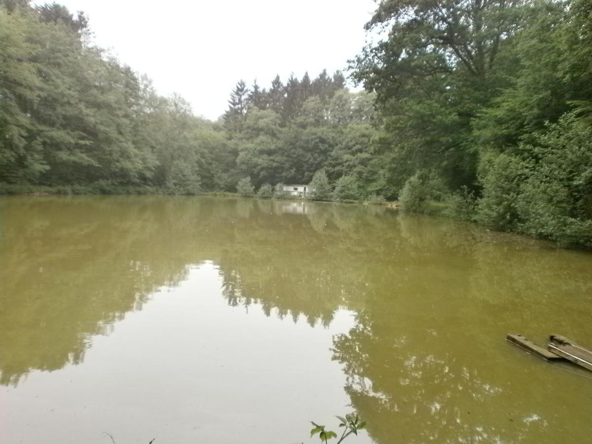 Gite Le Sous-Bois Cerfontaine Exterior photo